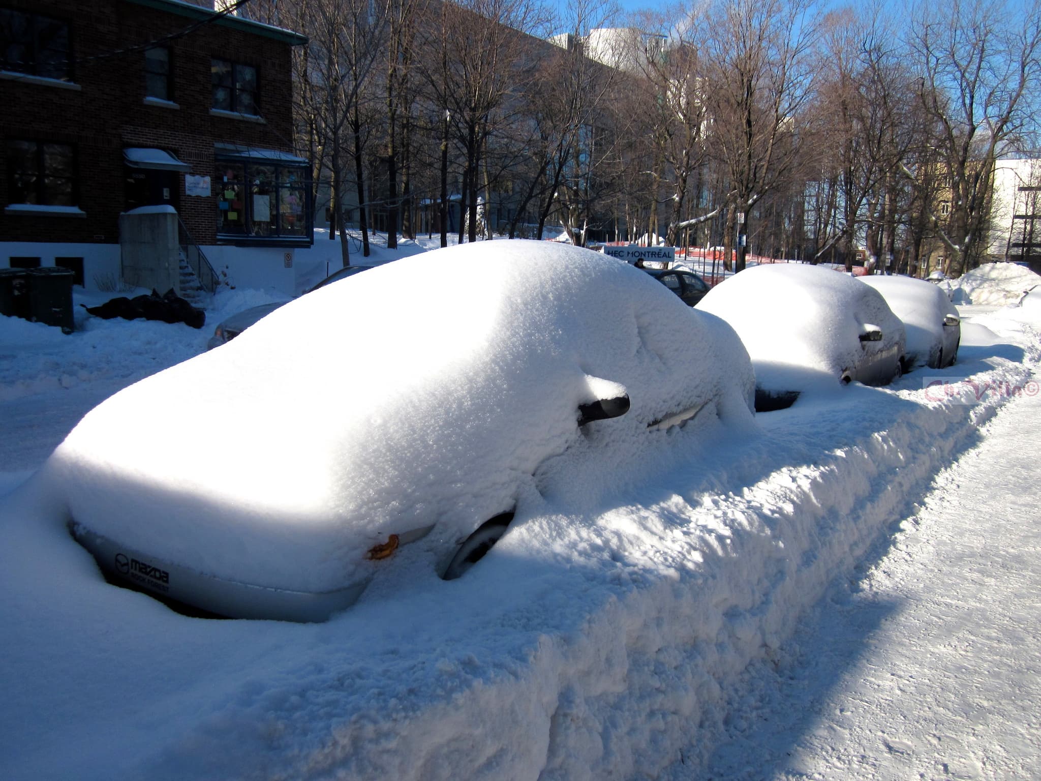 Jak zima ničí vaše auto?